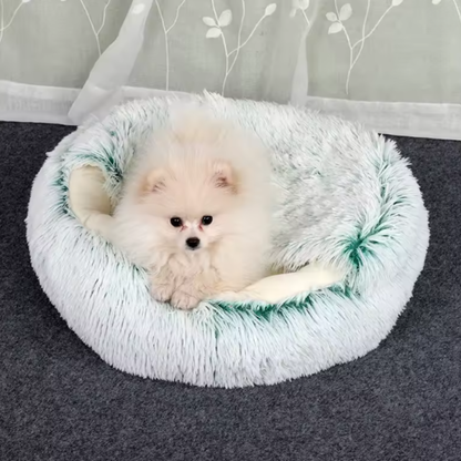 DroomCocon - Voor Katten & Kleine Honden | HERFST DEAL: TOT 60% KORTING