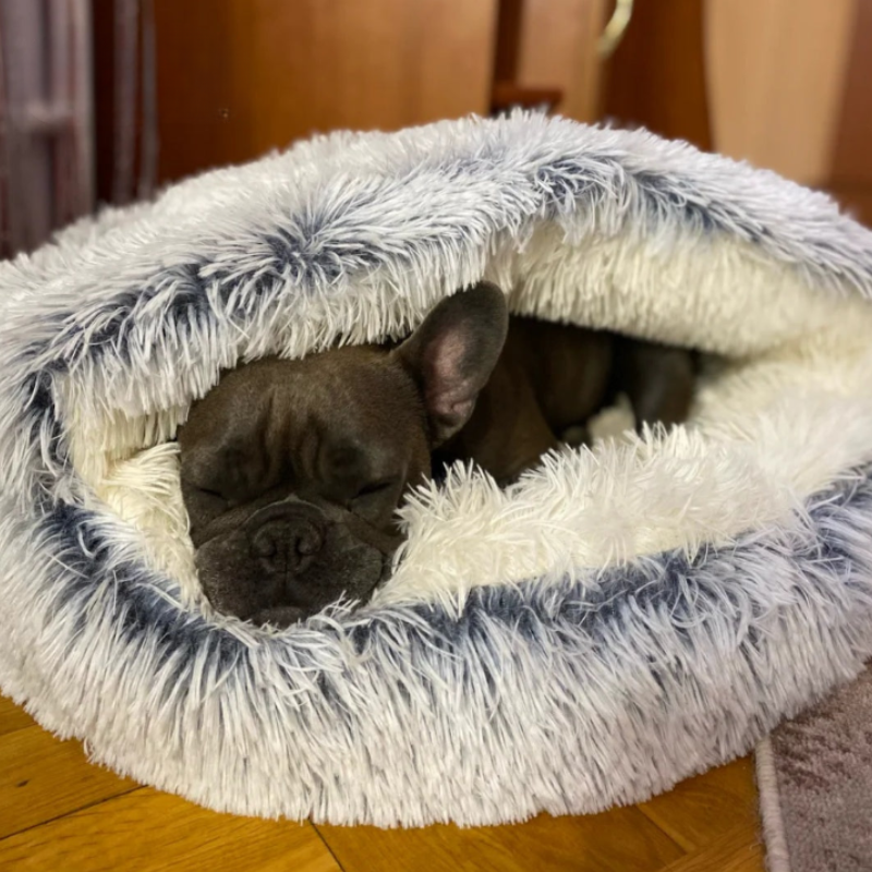 DroomCocon - Voor Katten & Kleine Honden | HERFST DEAL: TOT 60% KORTING