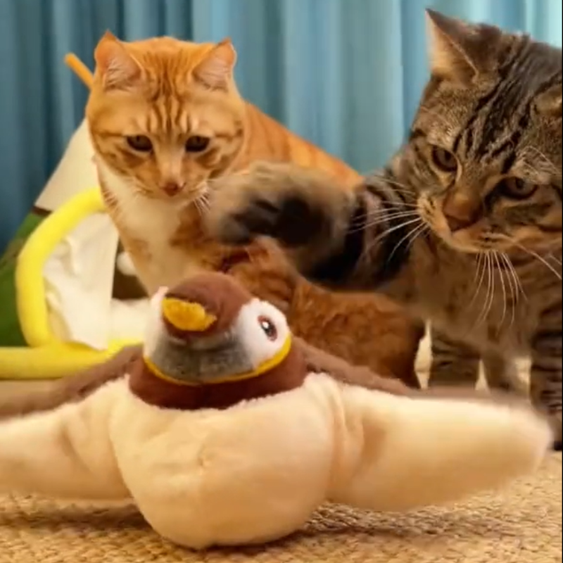 Interactieve mus die flappert en tjilpt voor je kat