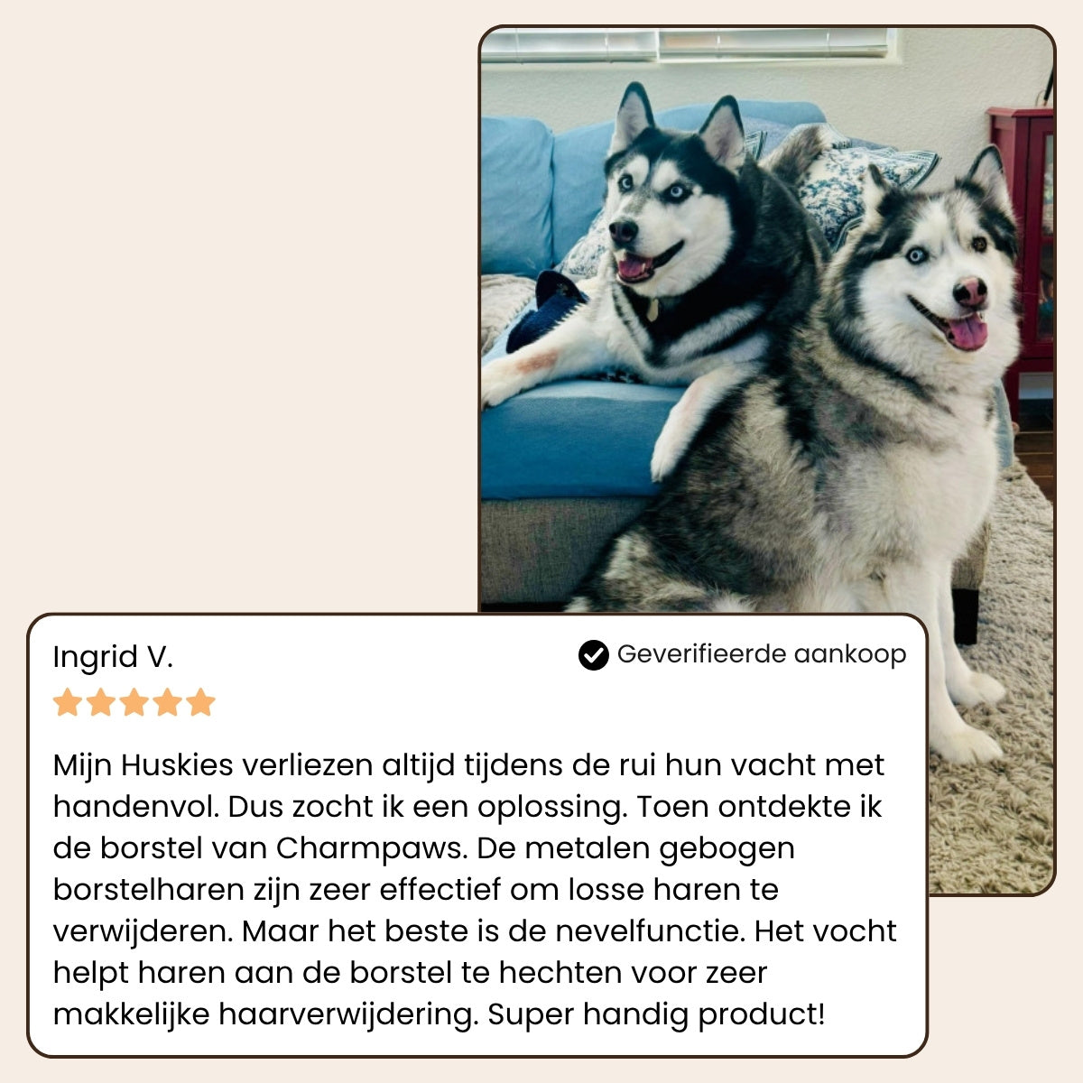 Luxao MistyBrush ™ – De Nieuwe Generatie Vachtverzorging voor Huisdieren