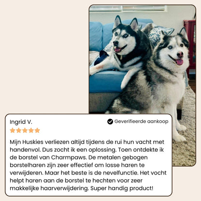 Luxao MistyBrush ™ – De Nieuwe Generatie Vachtverzorging voor Huisdieren